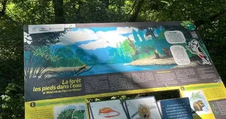 Aire de pique-nique du Parc de l'Eiblen