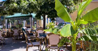 Bar à vin : L'Enivrée