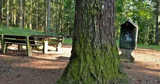 Aire de pique-nique - Chapelle Flieger Aire de pique-nique - Chapelle Flieger