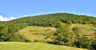 Aire de pique-nique - Sur la route du golf Aire de pique-nique - Sur la route du golf