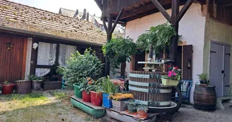 Maison d'hôtes de Mme SIGRIST Colette Maison d'hôtes de Mme SIGRIST Colette