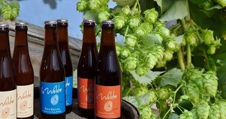 Gamme + houblon