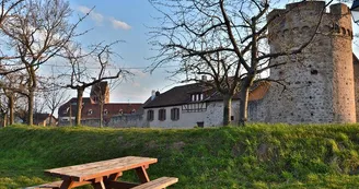 Aires de pique-nique - Les remparts Aires de pique-nique - Les remparts