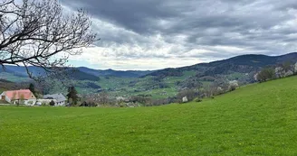 Aire de pique-nique - Au Col de Chamont