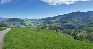 Aire de pique-nique - Au Col de Chamont