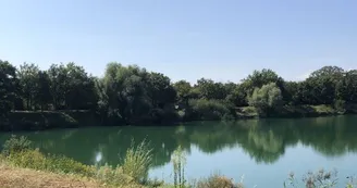 Pêche dans les étangs du Thurwald