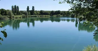 Pêche dans les étangs du Thurwald