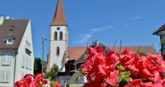 Eglise Saint-Martin