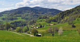 Aire de pique-nique - Sous le col de Chamont Aire de pique-nique - Sous le col de Chamont