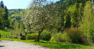 Ferme en pleine nature - Mr FISCHER