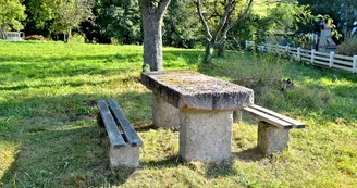 Aire de pique-nique - Remomont Aire de pique-nique - Remomont