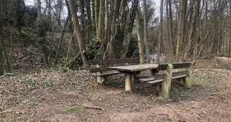 Aire de pique-nique - Geisbourg