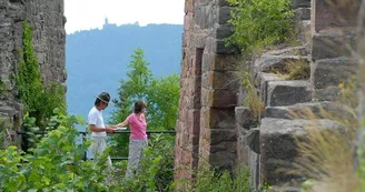 Château du Frankenbourg Château du Frankenbourg