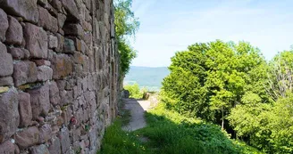 Château du Frankenbourg Château du Frankenbourg