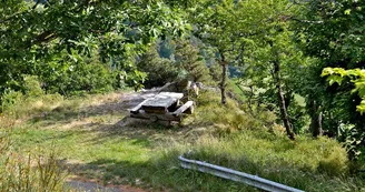 Aire de pique-nique - Col de Fréland Aire de pique-nique - Col de Fréland