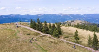 Le Petit Ballon - Vallée de Munster