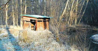 Observatoire de la grande faune Observatoire de la grande faune
