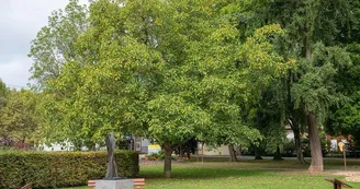 Parc Albert Schweitzer