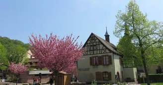 Parc Albert Schweitzer