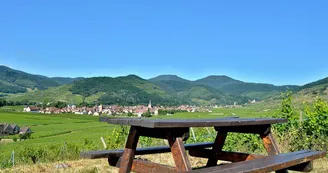 Aire de pique-nique - Dans les vignes