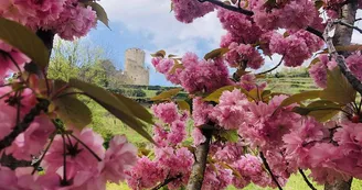 Kaysersberg Kaysersberg