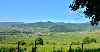 vue nécropole