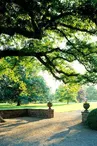 Le parc de Schoppenwihr