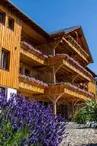 Gîtes d'Adelspach : Les Bagenelles n°1403 (2 personnes)