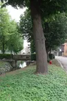Fossé de la ville - Stadtgraben