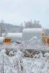 Gîte l'oasis des coccinelles (2-4 personnes)