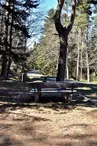 Aire de pique-nique - Baërenstall - Le Linge