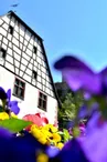 Badhus