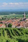 Kintzheim