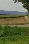 Aire de pique-nique du château d'eau