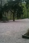 Aire de pique-nique - Château de Kintzheim