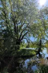 Réserve naturelle de l'Eiblen et l'Illfeld