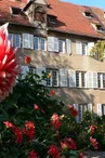 Jardin du Dahlia