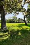 Le parc du manoir