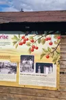 Musée du patrimoine local