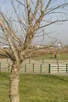 Plateau de loisirs - City Park