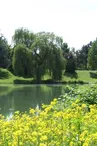 Aire de pique-nique du Parc de l'Eiblen