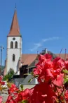 Eglise Saint-Martin