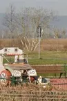 Aire de jeux