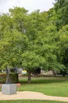 Parc Albert Schweitzer