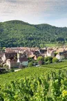 Vue sur le village de Kaysersberg